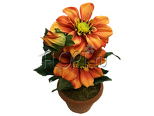 ���.����. �������, � ������, ��������� �22830�. 30 ��. 326,41 ���.jpg