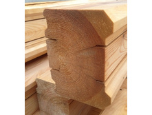 ����� ���������������� ����