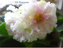 �� �������� �����