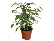 ����� ������ ���� 14�55. 189 ���.jpg