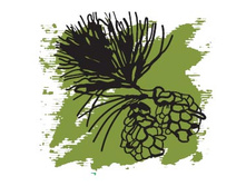 137 ���.������� ����� �����.