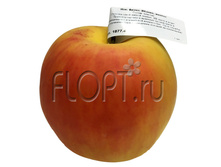 ���. ����� ������, ������ 1877.4. 8 ��. 161,83 ���.jpg