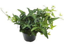 ������ ��������� 9�10. 73,37 ���.jpg