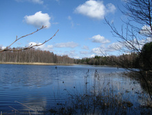 IMG 7552.jpg