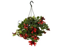 ���������� ���� ���� 15�30. 694,05 ���.jpg