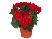 ������� ������� 13�30. 212,1 ���.jpg