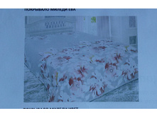 ���� ���. �������!