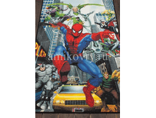 ����� Disney Spider-Man D3SM005-mix.png