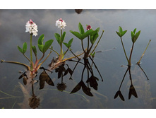 ����� 350�.jpg