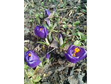 ������ ����� ����, 20 �