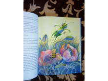 ������ ���� � �� �����������