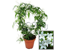 ������ 11�35. 441 ���.jpg