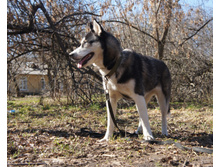 DSC07992.JPG