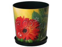 �2442 ������ ��. ������� 1,8 �. � ���. 14�15 ��. 66,1 ���.jpg