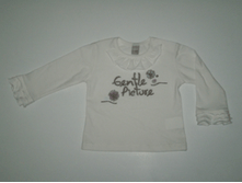 041 ������� ��.����� � �������� 074-098 "Gentle pikture" �-�� "������" №2� �������   86   ����   290