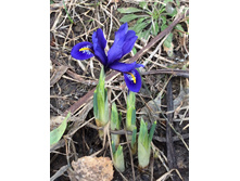 ���� ��������.