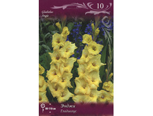 ��������� ����� 89,0