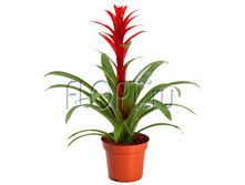 �������� �������� 13�50. 517,64 ���.jpg