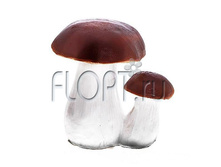 ������ ���� ����� , ������� �����, 19x11.5x14.5. 350 ���.jpg