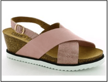 ���� 41,95 ����.