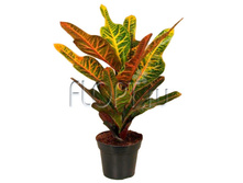 ������� ��������� 17�50. 396,9 ���.jpg