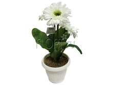 ���.����. ������� � �����, ����� �33805�. 28 ��. 326,4 ���.jpg