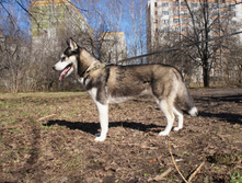 DSC07811.JPG