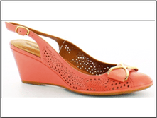 ���� 43 ����.