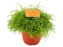 �������� ������� 14�20. 369,6 ���.jpg