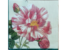 IMG 20160418 132558.jpg