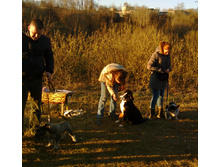 IMG 20160417 181307.jpg