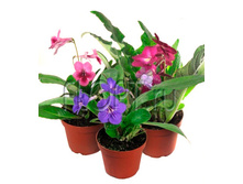 ������������� ���� 12�30. 199,5 ���.jpg