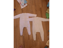 P 20160401 090845.jpg