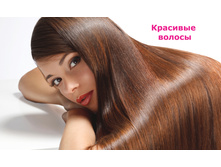 ����������� �������� ��� �����