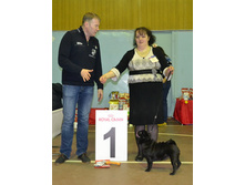 ����������� ������ ������ ���� - ��