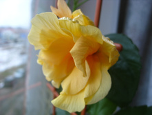 ���������� ��������