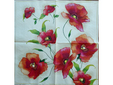 IMG 20160418 132503.jpg