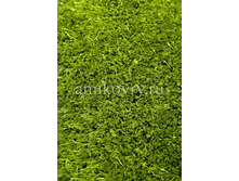 ����� Sunny H55-green.png