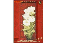 ����� �������� - ��������� ���.527