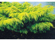 ������������ ������� ���� ����� (�9).jpg