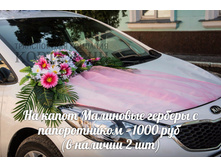 15 �� ����� ��������� ������� � ������������.jpg