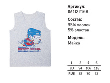 229,68 IM1I22*168 Hockey star