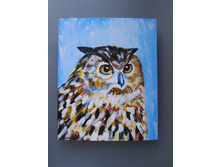 ���� - �������