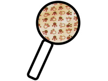 ����� ����! ��������� ����� ��� ����������! ���������� ����� �������� ������ � ����� ������