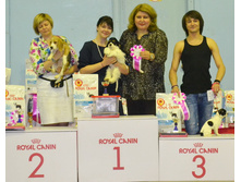 DSC 0279����1.jpg