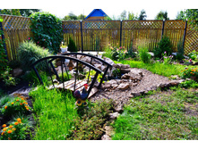 540fc055270ce dsc0807.jpg