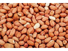 ������ ��������� ����������������.jpg