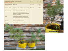 �������� �������, 15-20 �� ���� � 1000���, ���� � 1800���, 25-35 �� 2400.jpg