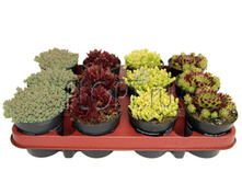 �������� ���� 9�15. 89,25 ���.jpg