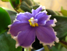 IMG 4735.JPG